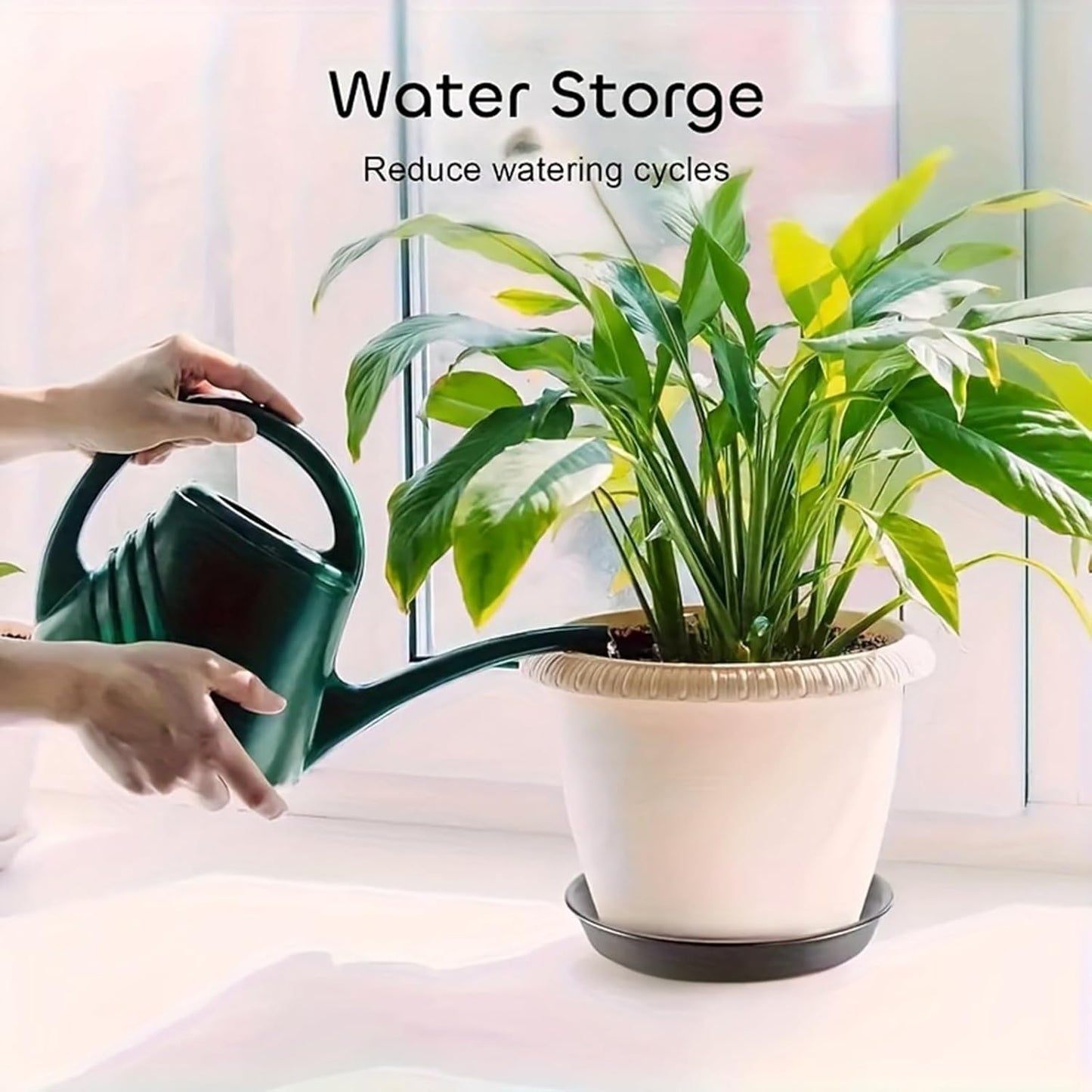 8 Pack Plant Saucer 10 Inch Plastic Plant Tray, Sturdy and Durable Flower Pot Container Accessories Plant Pot Saucers for Indoor and Outdoor (10Inch, Black)