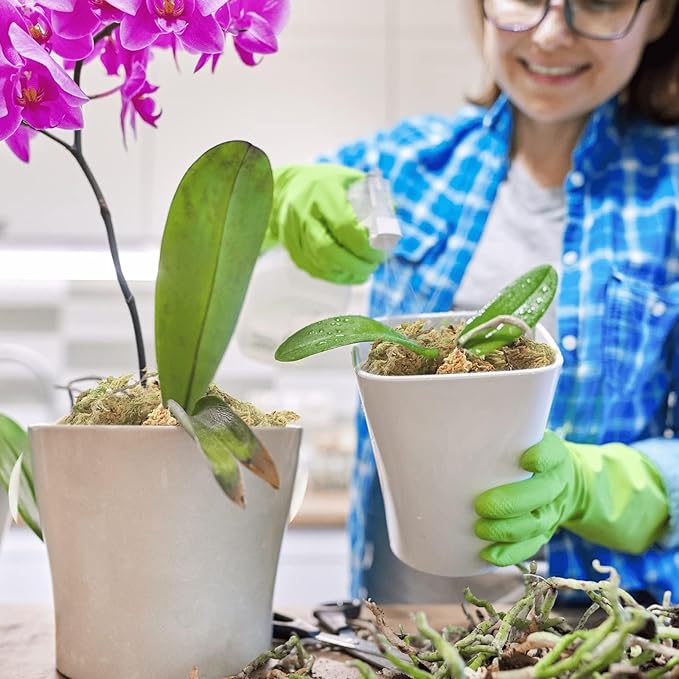 Halatool 2.2LBS Natural Sphagnum Moss for Plants 40 QT Premium Peat Moss Dried Long Fiber Orchid Moss for Orchid Repotting Carnivorous Succulents Garden Flowers Crafts Terrarium and Reptiles