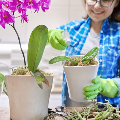 Halatool 2.2LBS Natural Sphagnum Moss for Plants 40 QT Premium Peat Moss Dried Long Fiber Orchid Moss for Orchid Repotting Carnivorous Succulents Garden Flowers Crafts Terrarium and Reptiles