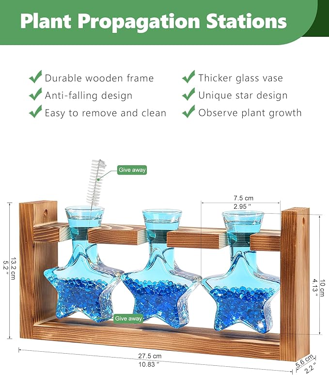 Nacome Star Glass Propagation Stations: Plant Terrarium with Wooden Stand Vase for Home Office Desk Decor, Unique Gifts for Plant Lovers Women Mom (Blue)