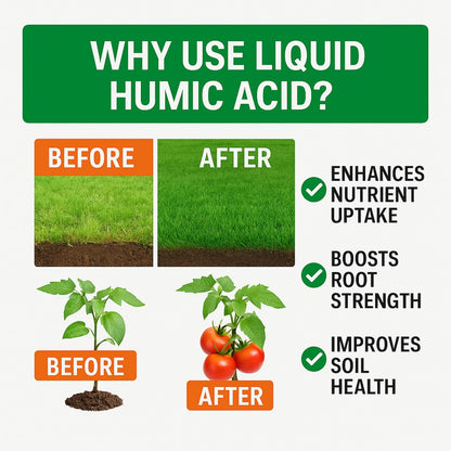 GS Plant Foods Organic Liquid Humic Acid with Fulvic - Concentrate Fertilizer for Enhanced Nutrient Uptake and Soil Conditioning - 1 Gallon