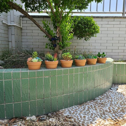 Yishang 5 Inch Shallow Terracotta Clay pots with Drain Hole,Ceramic Plant pots for Indoor/Outdoor Plants,Unglazed Bonsai Planter for Cacuts/Succulent Plants