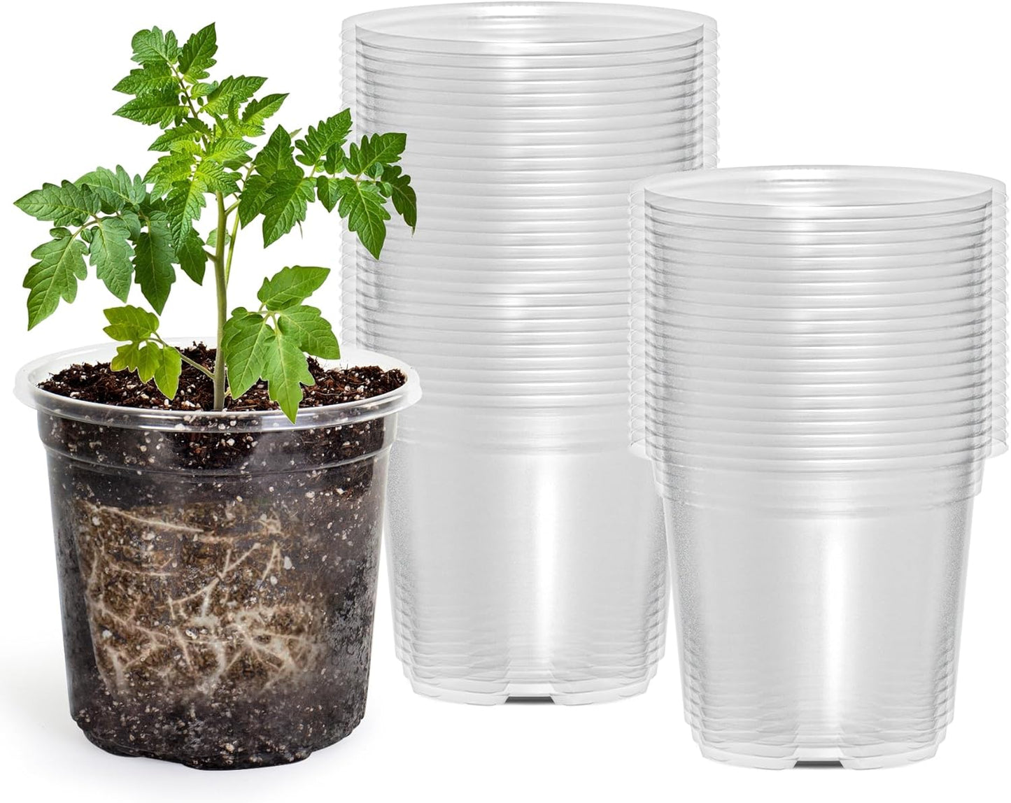 50 Packs 4 Inch Reinforced Clear Nursery Pots with Drainage Hole, Transparent Variety Pack Plastic Plant Pot Seedling Planter Seed Starter Flower