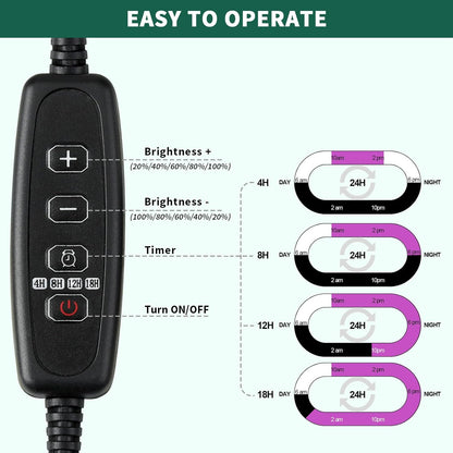Seed Starter Tray, Plant Propagation Station with Grow Light, Seedling Starter Trays with Timing Controller, Mini Greenhouse Kit with Humidity Domes and Base, Plant Tray for Seeds Growing Starting