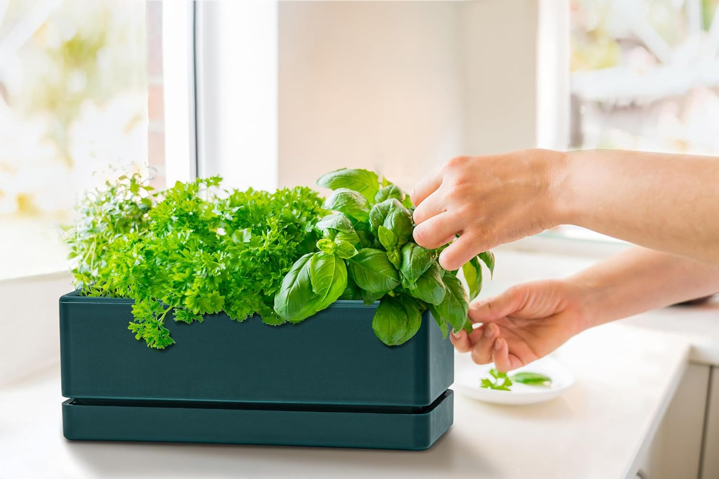 D'vine Dev 12 Inch Window Box Planter, Rectangle Plastic Herb Planter with Drainage Holes and Saucer, Indoor Succulent Cactus Vegetable Pot for Windowsill, Garden Balcony, Green, Set of 1, 76-X-C-1