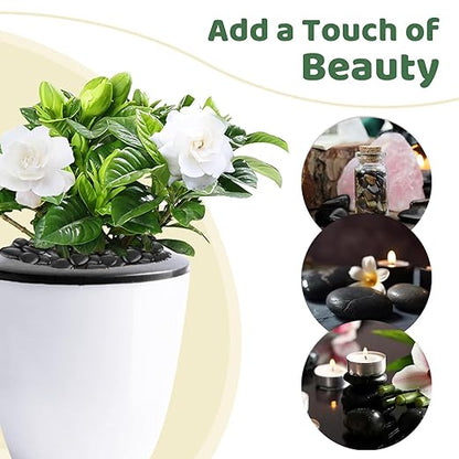 10lbs Black Rocks for Planters 1"-2" Natural Decorative River Pebbles Black Polished Pebbles for Plants Garden Decorative Stones for Outdoor Landscaping, Plants, Vase Filler Fish Tank Aquariums