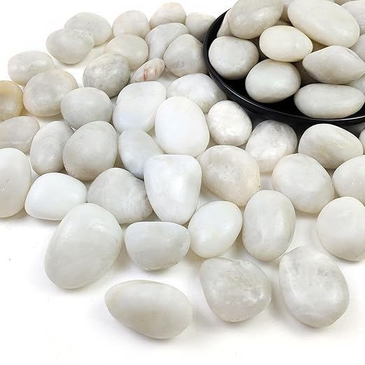 10LB White Pebbles for Plants,1-2.2 Inch Polished Stones for Indoor Pants, Decorative River Rocks for Landscaping. Succulents, Crafting,Fish Tank,Garden,Vase Filler, Outdoor Decoration