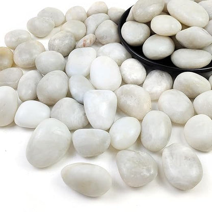 10LB White Pebbles for Plants,1-2.2 Inch Polished Stones for Indoor Pants, Decorative River Rocks for Landscaping. Succulents, Crafting,Fish Tank,Garden,Vase Filler, Outdoor Decoration