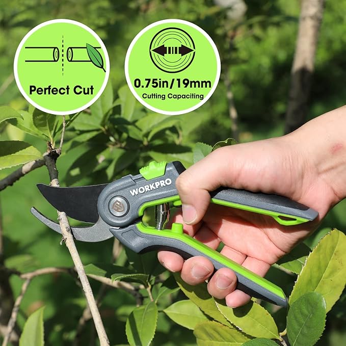 WORKPRO Bypass Pruning Shears, 8’’ Stainless Steel Gardening Hand Pruner, Professional Garden Trimming Scissors with Sharp SK5 Steel Blades, Ideal Garden Tool,Green