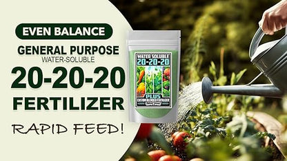 Fertilizer Commercial Grade | 20-20-20 Plus | 1 Pound | Water Soluble Plant Food | Balanced Formula with Chelated Micronutrients | General Purpose Nutrient | Turf Lawns Shrubs Gardens Ornamentals