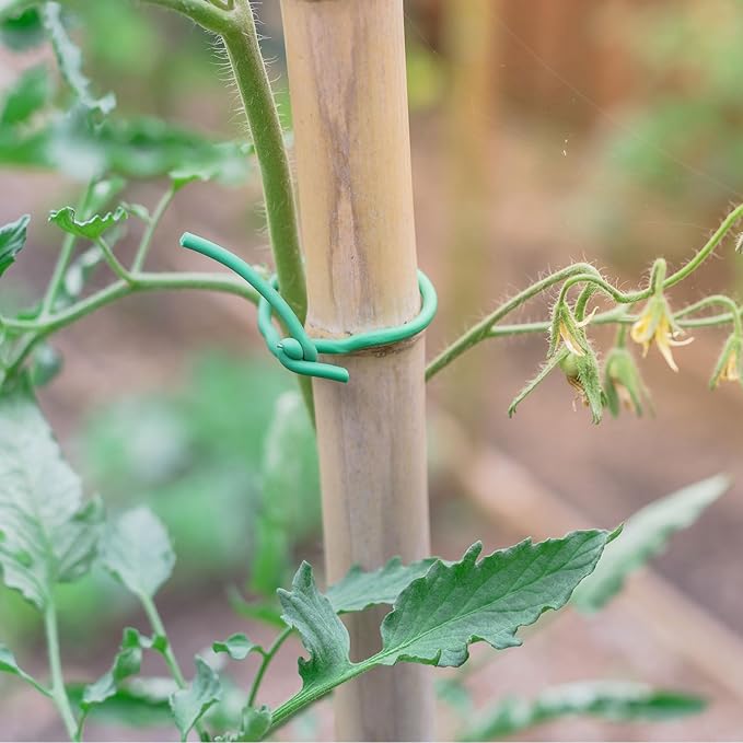 PATIKIL 65ft/20M 3mm Soft Twist Ties, Garden Plant Ties Reusable for Gardening Climbing Vines Office Home Cable Organizing, Dark Brown