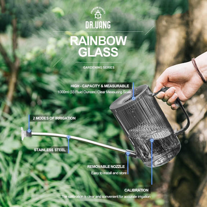 Small Watering Can Indoor Plants with Long Spout (1L, Gray)