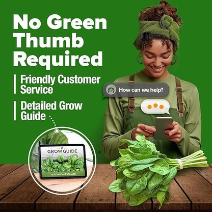 HOME GROWN 𝗨𝗦𝗔 𝗣𝗥𝗘𝗠𝗜𝗨𝗠 Bloomsdale Spinach Seeds Pack – 353 Heirloom 𝗡𝗢𝗡-𝗚𝗠𝗢 Seeds – High Germination Spinach for Indoor, Outdoor, Hydroponic Planting & Home Gardens (Spinacia oleracea)