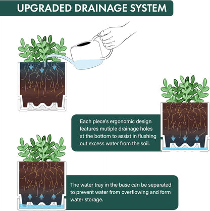 Phoenix Vine 6 Inch Planter Pot with Drainage Hole & Saucer, Deep Water Catch Tray, Straight Cylindrical Round Pot for Plants, Matte White, Pack of 1, 23-B-S-1