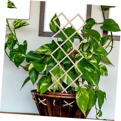 Wooden Plant Trellis for Indoor Climbing Plants with Honeycomb DIY Support Frame for Orchids Vines Tomatoes Reusable