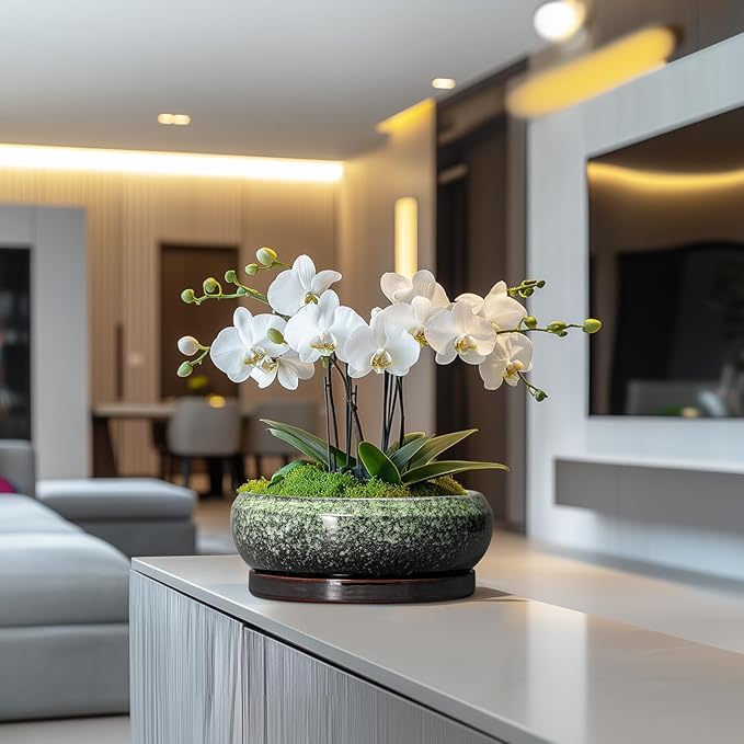 Bonsai Pots 10 Inch - Ceramic Pots for Plants Indoor Outdoor, Succulent Pot with Drainage Hole and Saucer, Large Bonsai Planter, Round Shallow Planter, Office Decor, Gardening Gift, Green