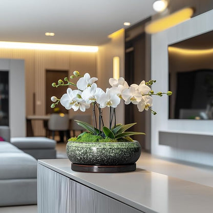 Bonsai Pots 10 Inch - Ceramic Pots for Plants Indoor Outdoor, Succulent Pot with Drainage Hole and Saucer, Large Bonsai Planter, Round Shallow Planter, Office Decor, Gardening Gift, Green