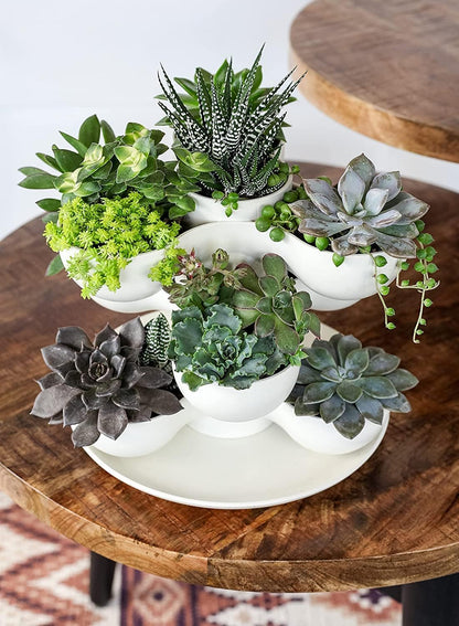 The HC Companies 8 Inch Round Stacking Decorative Indoor Pixie Succulent Flower Planter Pot with 3 Planting Levels, Artisan Taupe