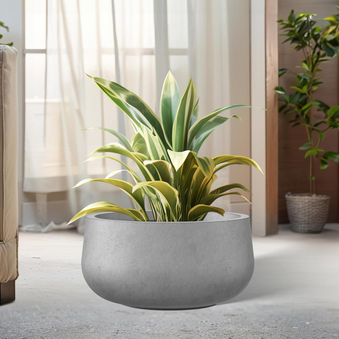 Kante 11.8" Dia Round Concrete Planter, Cement Plant Pots with Drainage Hole and Rubber Plug for Outdoor Indoor Garden Home, Modern Curvaceous Design, Natural Concrete