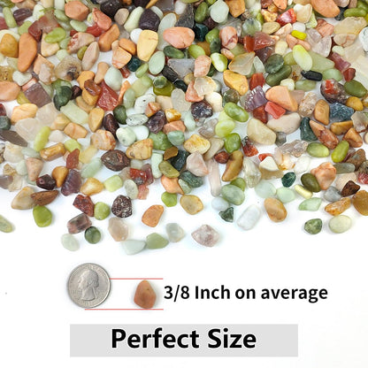 5LB Succulent and Cactus Colorful Pebbles, 3/8 Inch Pebbles for Indoor Plants, Natural Decorative Polished River Rocks for Vases, Planters and Outdoor Gardening