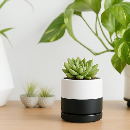 D'vine Dev 3.5 Inch Ceramic Planter Pot with Drainage Hole and Saucer, Indoor Cylinder Round Planter Pot, Layered Monochrome Black & White, 94-O-A-L
