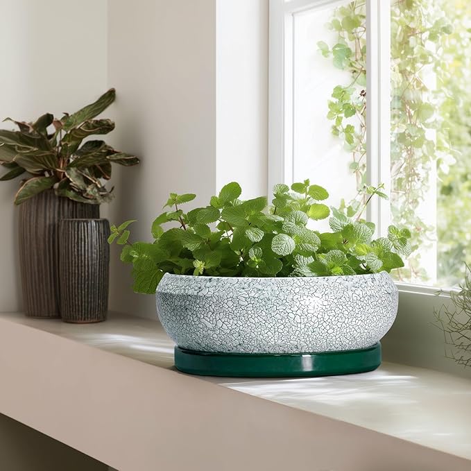 Bonsai Pots 13 Inch - Shallow Ceramic Planter with Drainage Hole and Saucer, Round Succulent Pots for Indoor Outdoor, Large Succulent Planter, Apartment Decor, Gardening Gifts, Green