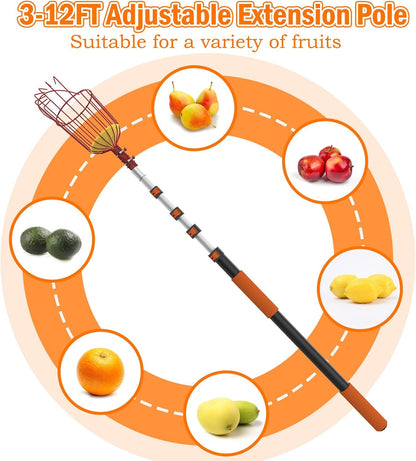 SISIUPASSIE 20FT Reach Fruit Picker, Apple Picker Pole with Basket Telescoping Tool for Apple Lemon Orange Mango Avocado Fruit Tree Picking