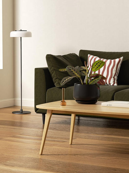 LE TAUCI Plant Pots, 4.1+5.1+6.5 inch, Set of 3, Ceramic Planters with Drainage Hole and Saucer, Indoor Flower Pot with Hole Mesh Pad, Gifts for Mom, Black