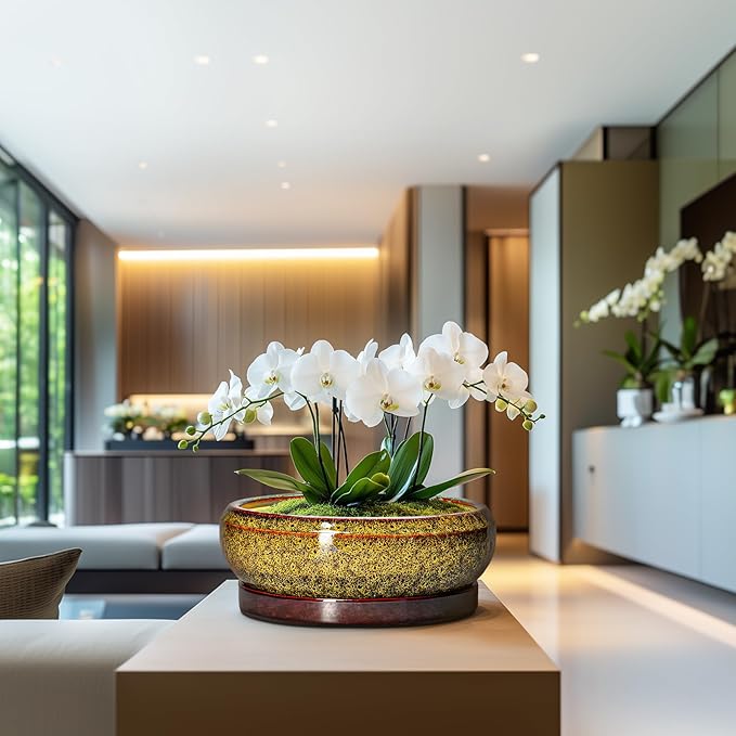 Succulent Pots Large - 13 Inch Ceramic Bonsai Pot with Drainage Hole and Tray, Round Succulent Planters, Shallow Plant Pots Indoor, Bowl Planter Outdoor, Garden Decor, Gardening Gift, Yellow