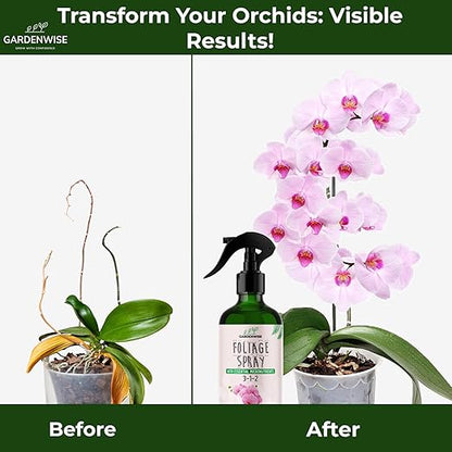 Premium Orchid Plant Food Mist – Orchid Fertilizer Spray – Orchid Food Fertilizer for Blooming – Orchid Plant Care Formula 3-1-2 – Ready-to-Use (16 OZ)