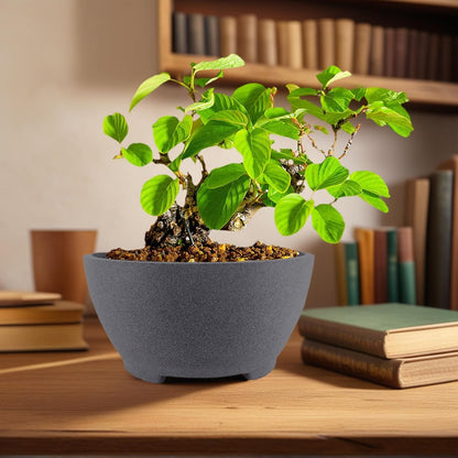 Round Unglazed Bonsai Pots with Drainage Holes 7” Breathable Planter Sand-Textured Short Legs Large Bonsai Tree Pots Ceramic for Indoor Plants Succulent