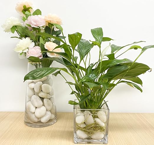 2 lbs Polished White Pebbles for Pebbles, 1-2 Inch Smooth White River Rocks for Plants Potted Vases Fillers Fish Tank Landscaping and Outdoor Garden Decorative Rocks