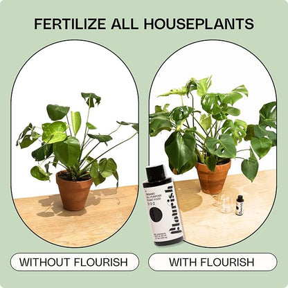 Flourish Plant Organic All-Purpose Plant Food + Organic Houseplant Soil Plant Revive Bundle