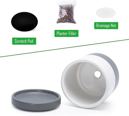 D'vine Dev 3.5 Inch Ceramic Planter Pot with Drainage Hole and Saucer, Indoor Cylinder Round Planter Pot, White/Speckled Grey, 94-O-A-6