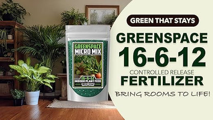 Fertilizer Commercial Grade | GreenSpace 16-6-12 | 3 Pounds | Custom Professional Plant Mix Blend | Indoor Foliage Feed | Controlled Release Granular | Low-Light Houseplants