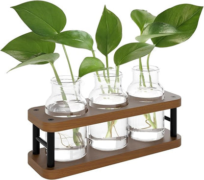 THYGIFTREE Plant Propagation Station with Wooden Stand, Propagation Vases Glass Planters for Indoor Plants Hydroponic Propagating Jars Home Office Decor, Brown
