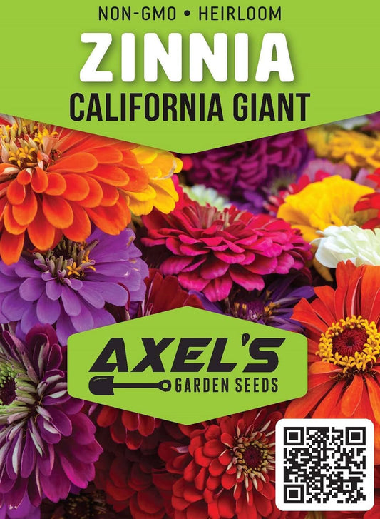 Zinnia Seeds for Planting – Non-GMO Heirloom Zinnia Flowers – Full Instruction Packets to Plant in Your Home Outdoor Garden – Gardening Gift – 50 California Giant Zinnia Seeds (2 Packets)