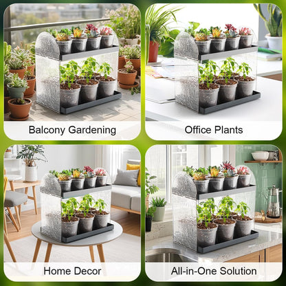 2-Pack Mini Plant Stands with 2.5" & 3" Clear Plastic Pots with Drainage Holes for Plants Indoor Seedling Small Succulent Windowsill Shelf as Gifts for Men Women