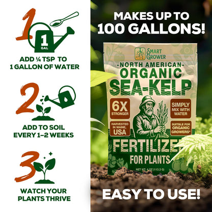 Organic Sea Kelp Fertilizer for Plants – Water-Soluble – Makes 100 Gallons – Kelp Meal Concentrate Plant Food – for Indoor Gardens, Hydroponics, Vegetables, Houseplants - Smart Grower - 4oz Bag