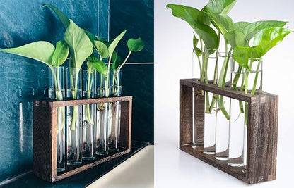 5 Tube Wooden Plant Propagation Station, Tabletop Glass Terrarium Holder for Cuttings Hydroponics, Home Office Desk Decor Gift for Women Mom Plant Lovers, Brown