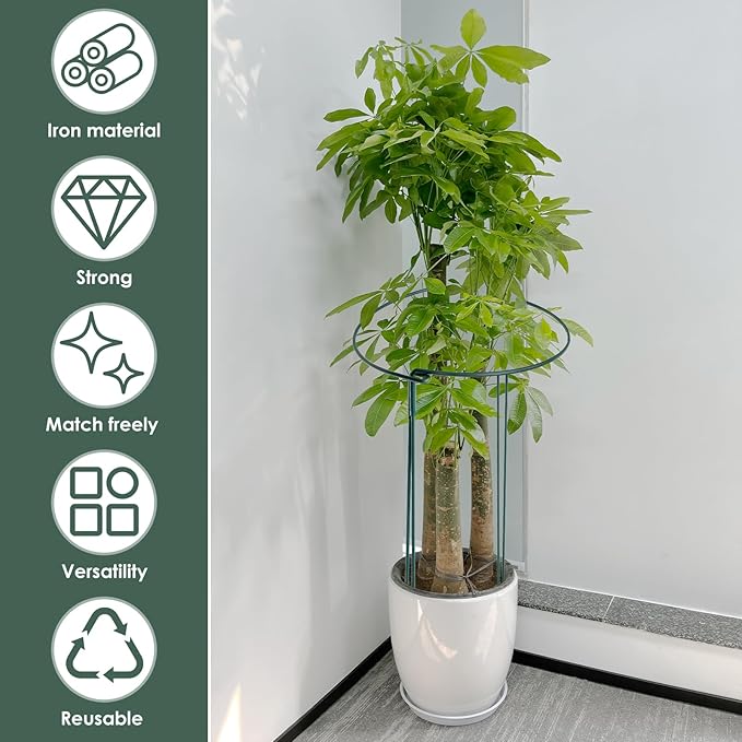 10 Pack Supports Stakes Metal 10" Wide x 24" High Peony Cages and Supports Garden Interlock Half Round Support Ring Border Support Ring Cage for Rose Vine Tomato