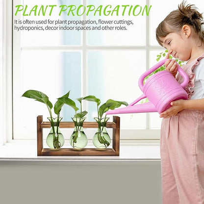 Plant Propagation Station Plant Terrarium Unique Birthday Gifts for Women Home Office Decor Planter with Wooden Stand - 3 Bulb Glass Vase