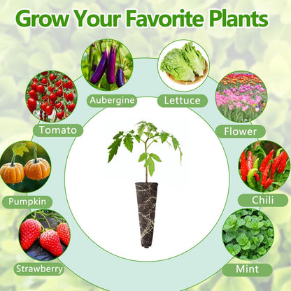 107pcs Seed Pod Kit for Aerogarden, Hydroponics Garden Accessories for System Compatible with Hydroponics Supplies from All Brands, 32 Grow Sponges, 12 Plant Baskets & Domes, 50 Pod Labels, 1 Tweezer