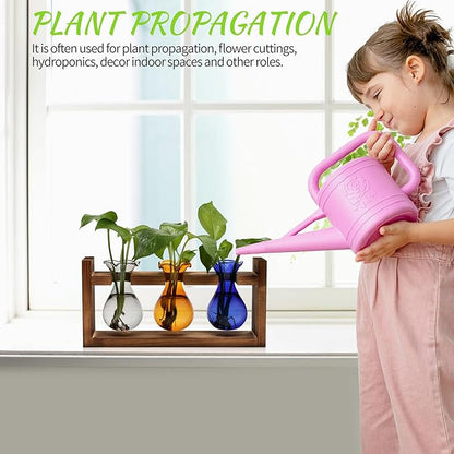 Plant Propagation Station Plant Terrarium Unique Birthday Gifts for Women Home Office Decor Planter with Wooden Stand - 3 Bulb Glass Vase