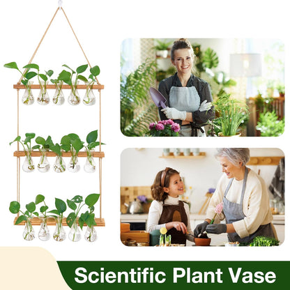 XXXFLOWER Wall Hanging Propagation Station with Wooden Stand 5 Bulb Vase 3 Tiered Planters Wall Terrarium for Home Office Plant Hanger Flower Vases Wall Decor