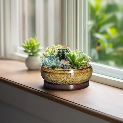 Small Bonsai Pots - 6 Inch Ceramic Succulent Planters with Drainage Hole and Saucer, Shallow Round Planter Indoor Outdoor, Cactus Succulent Pots, Living Room Decor, Plant Lover Gift, Yellow