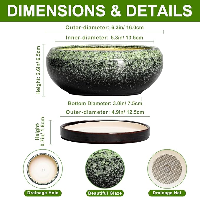 Succulent Pots 6 Inch - Ceramic Bonsai Pots with Drainage Hole and Saucer, Succulent Planters for Indoor Outdoor, Small Shallow Planter, Round Cactus Pot, Room Decor, Plant Lover Gift, Green