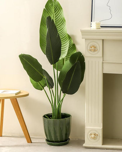 ADN Large 10 Inch Plant Pot Ceramic Planter Indoor Ceramic Pot with Drainage Hole and Saucer for Plants and Flowers, Green