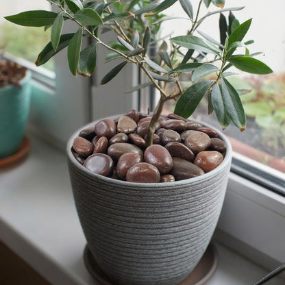 10 lbs Red River Rocks, 2-3 Inch Polished Pebbles for Indoor Plants, Decorative Rocks Stones for Landscaping, Vases, Aquariums, Fountains, Pathways, Backyard and Garden