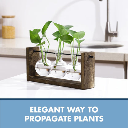Garden Republic Plant Propagation Station, Wooden Stand with Propagation Tubes, Hanging Plant Glass Tubes Station, Elegant Home Decor, Easy Water Changes, Bamboo Color